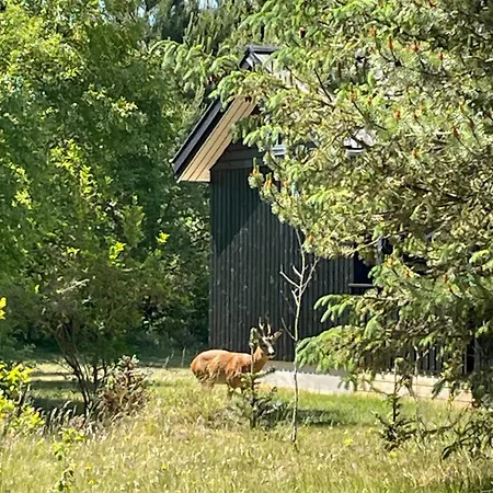 Cozy Summer House Close To Bisnap Hals