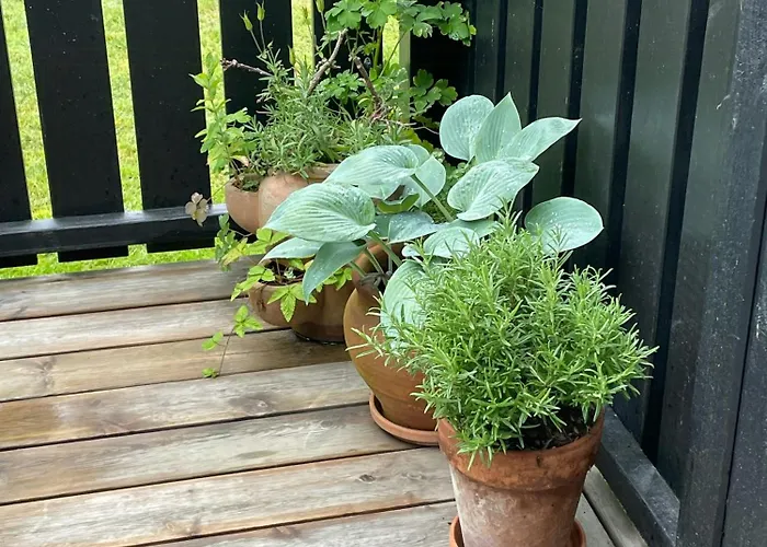 Сasa de vacaciones Cozy Summer House Close To Bisnap *